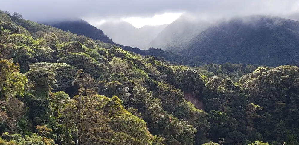 Tierras Altas