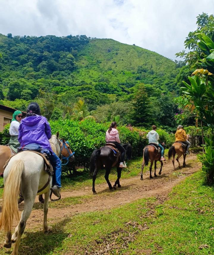 Rancho La Mandarina