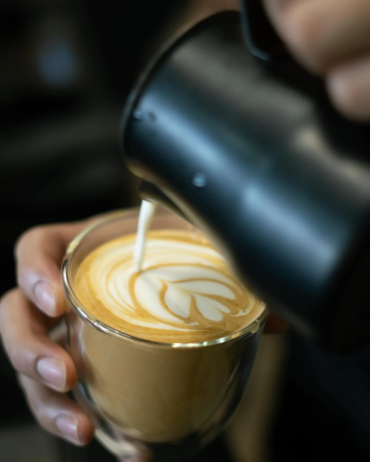 Accendo Coffee