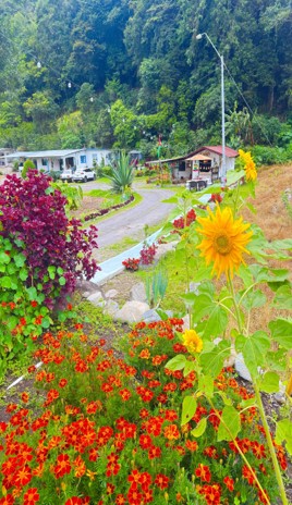 Bambito’s Café & Hostel