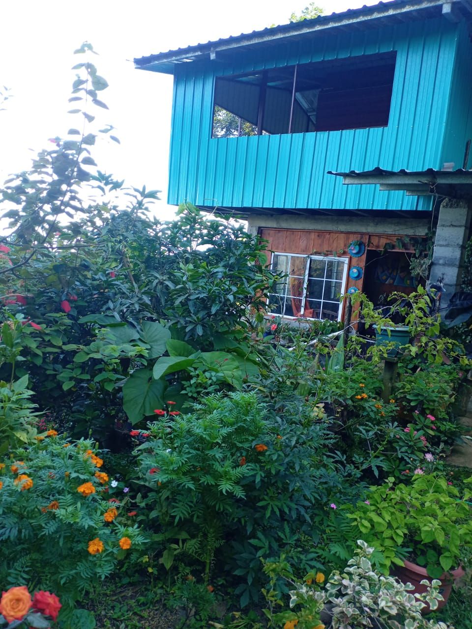 Finca El Jilguero de Hornito