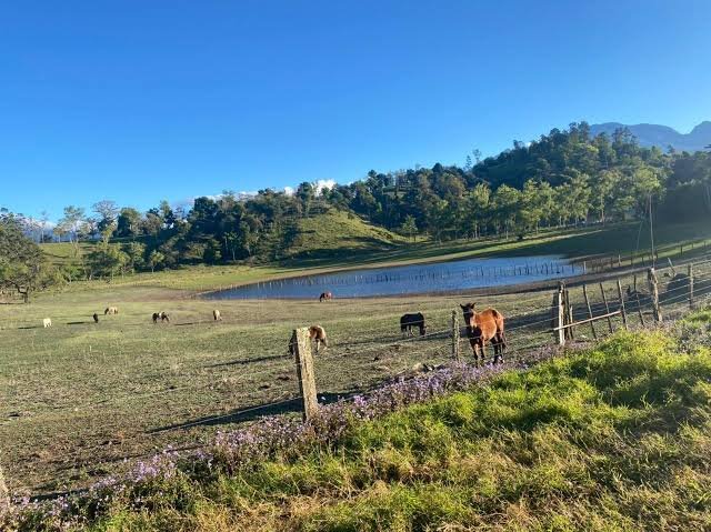 Finca Guardia