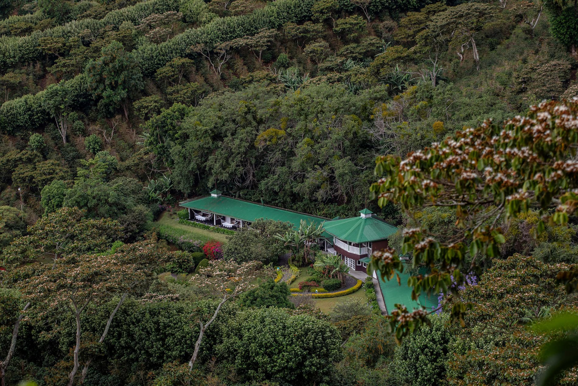 Finca Lerida (Hospedaje)