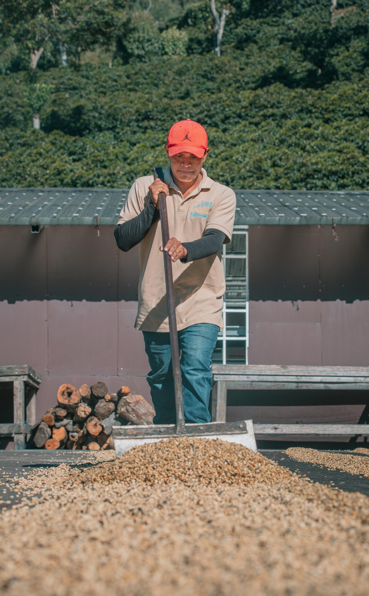 Finca Lérida