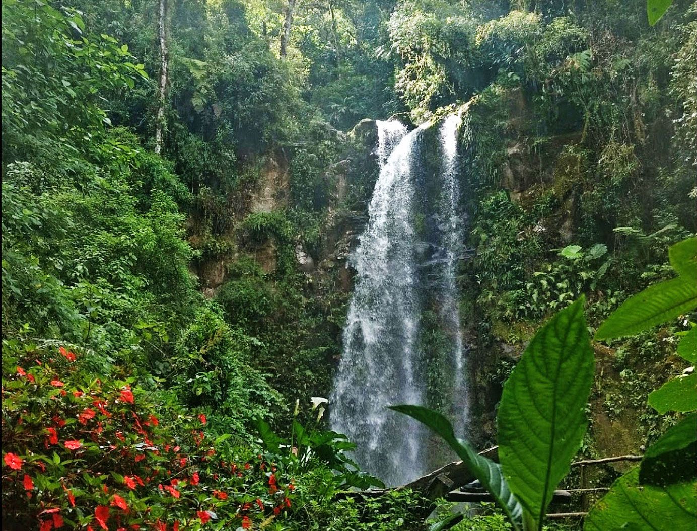 Las Cascadas Perdidas (The Lost Waterfalls)